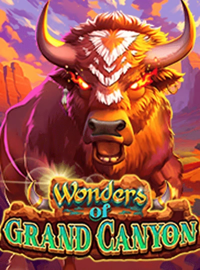 wg999